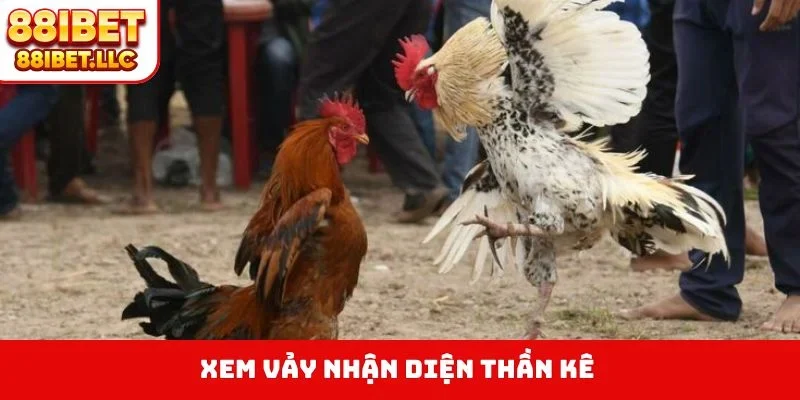 Xem vảy nhận diện thần kê