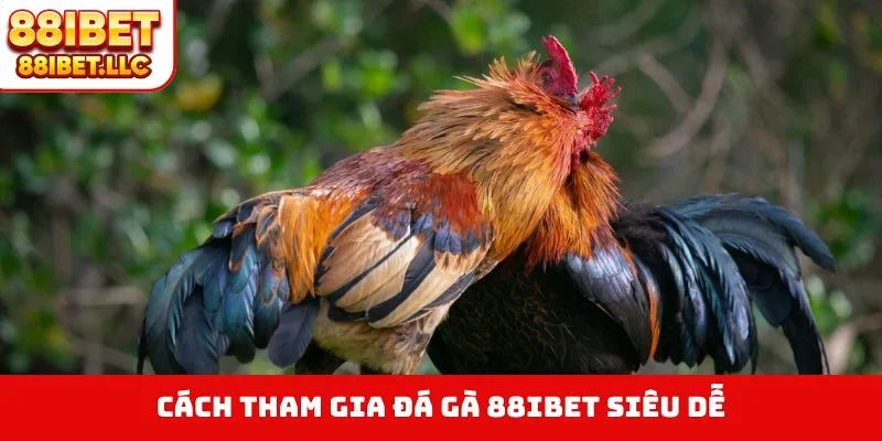 Cách tham gia đá gà 88IBET siêu dễ